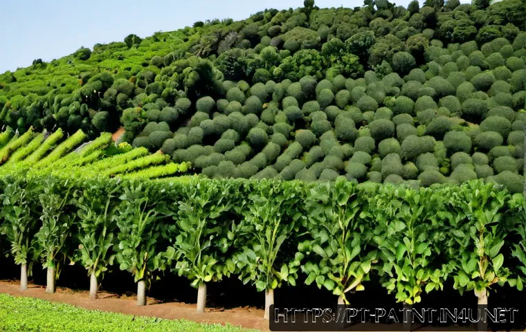 Quanto custa candidatar-se ao exame de propriedade industrial em Portugal: taxas e planeamento 4 변리사 시험 응시료 관련 이미지 2